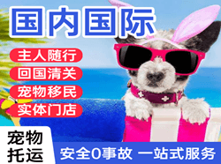 海北祁连机场邮寄国际宠物托运 【国